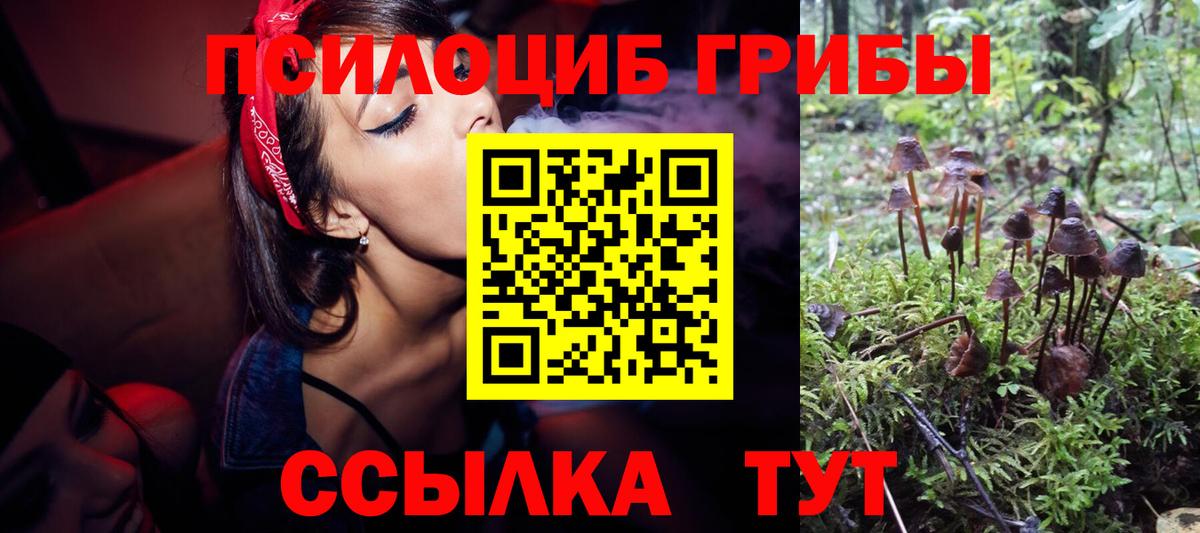 Псилоцибиновые грибы Psilocybe  Вход с VPN  Омск 