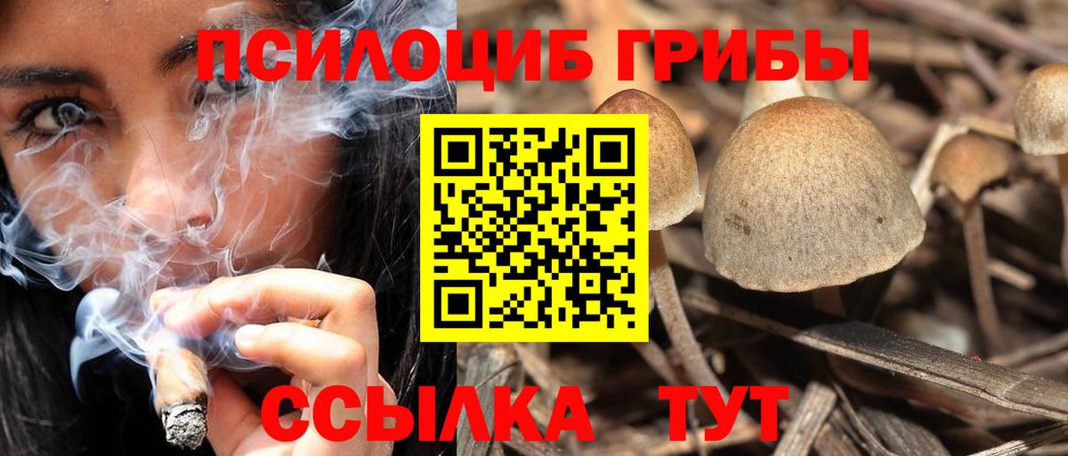 Псилоцибиновые грибы MAGIC MUSHROOMS Омск
